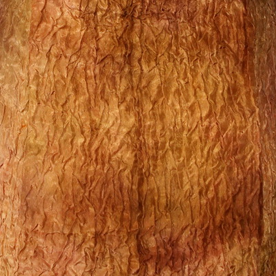 butterscotch-habotai-small